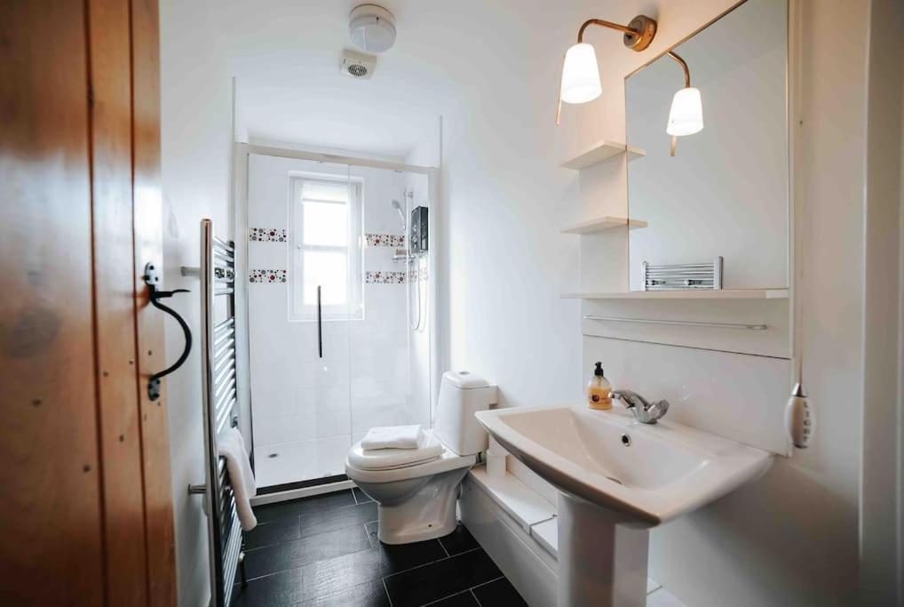13 Tabernacle Str - Bear Holiday Homes Aberaeron Zewnętrze zdjęcie